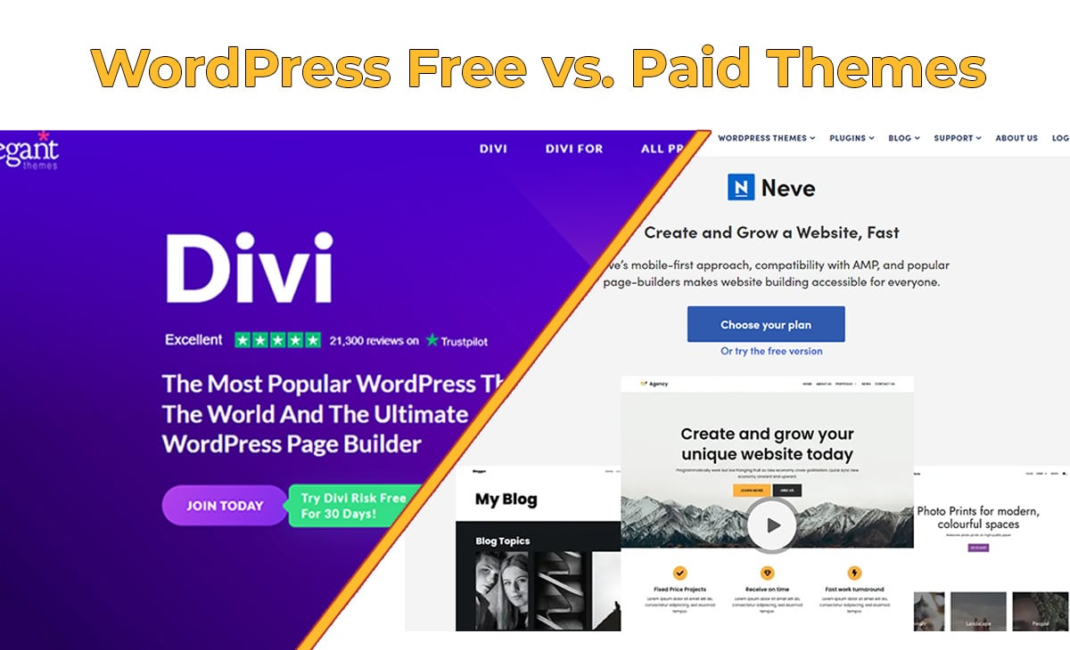 Difference Between Free and Paid WordPress Themes 2024
